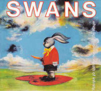 Swans