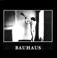 bauhaus, In The Flat Field