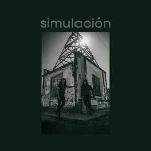 Simulación, Simulación