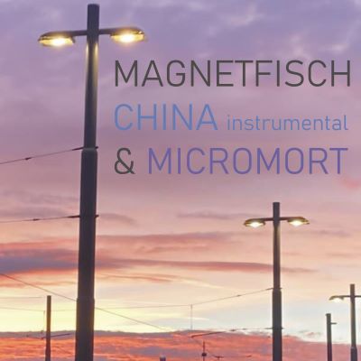 Magnetfisch, China
