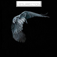 Compilation Unknown Pleasure Records, Resurrection