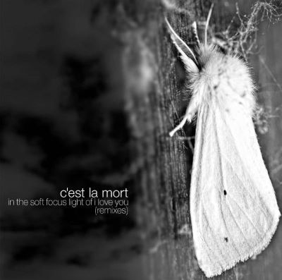 C'est La Mort, In The Soft Focus Light Of I Love You